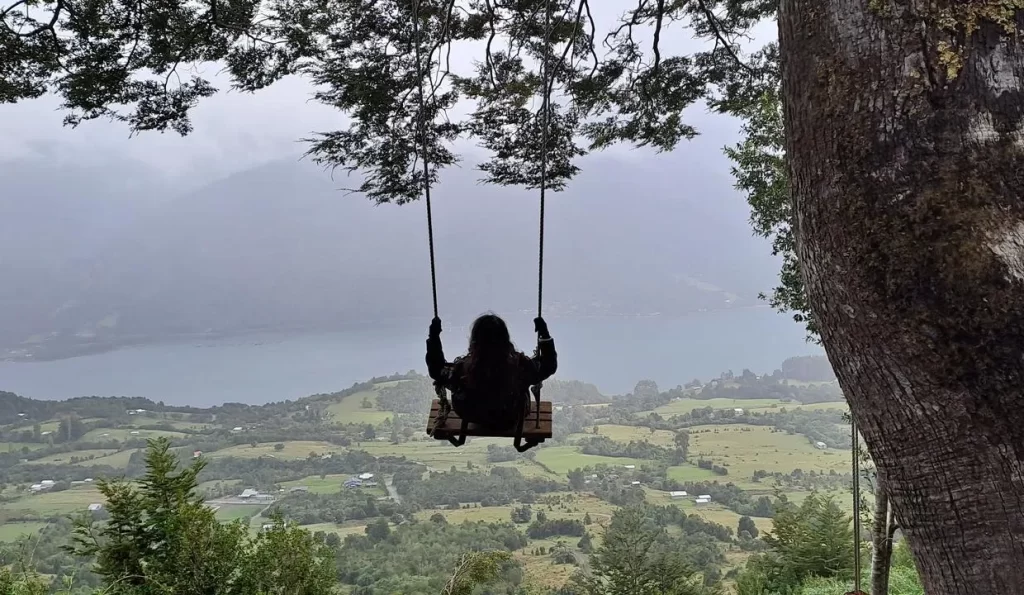 Coihue de los Columpios